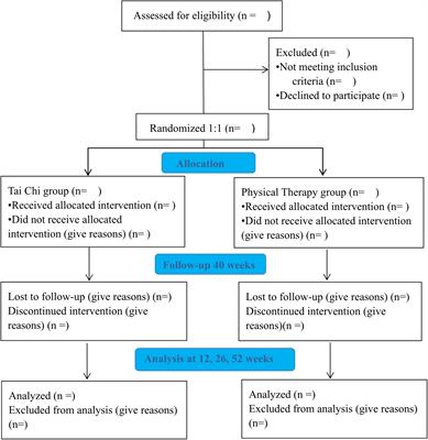 Tai Chi Quan Versus Physical Therapy on Pain and Cognitive Performance for Elderly People With Chronic Low Back Pain: Study Protocol for a Randomized Controlled Trial